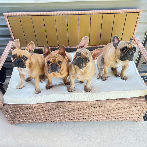 Meet your Posher, Maria - Picture 1 of 2